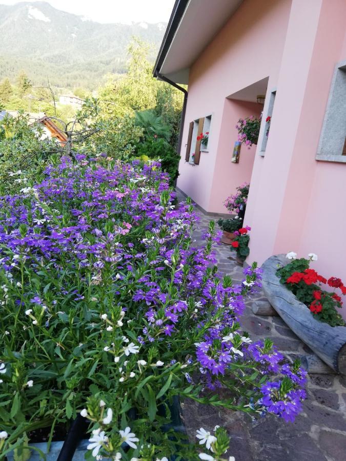 Ferienwohnung El Campizol Drena Exterior foto