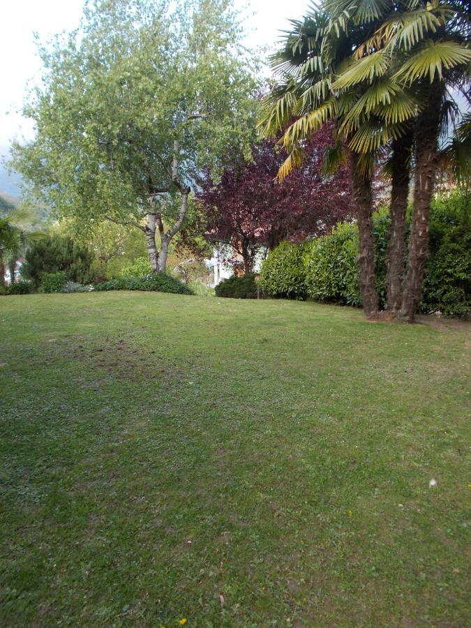 Ferienwohnung El Campizol Drena Exterior foto